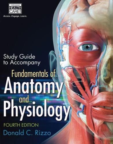 Cover image for Study Guide for Rizzo's Fundamentals of Anatomy and Physiology, 4th