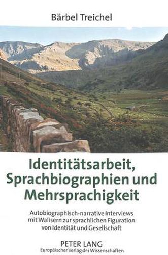 Cover image for Identitatsarbeit, Sprachbiographien und Mehrsprachigkeit; Autobiographisch-narrative Interviews mit Walisern zur sprachlichen Figuration von Identitat und Gesellschaft