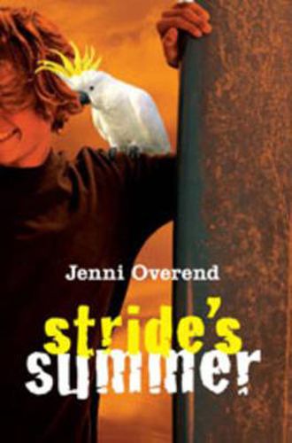 Cover image for Stride's Summer