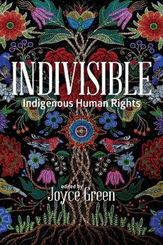 Cover image for Indivisible: Indigenous Human Rights