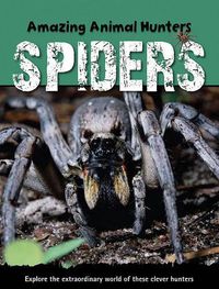 Cover image for Spiders