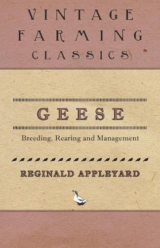 Cover image for Geese - Breeding, Rearing and Management