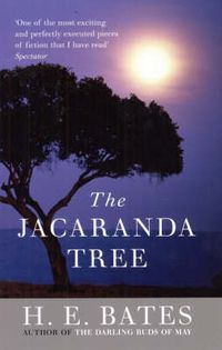 Cover image for Jacaranda Tree