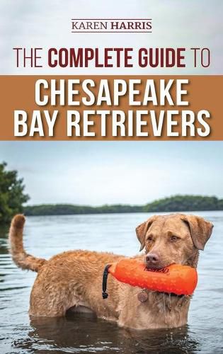 Cover image for The Complete Guide to Chesapeake Bay Retrievers: Training, Socializing, Feeding, Exercising, Caring for, and Loving Your New Chessie Puppy