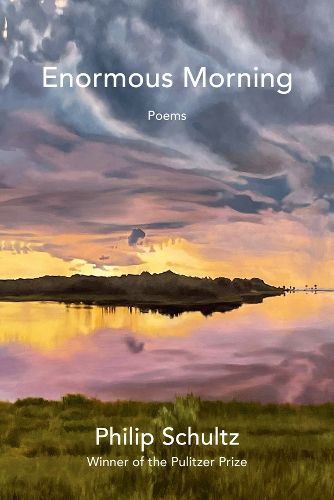 Cover image for Enormous Morning
