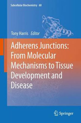 Cover image for Adherens Junctions: from Molecular Mechanisms to Tissue Development and Disease