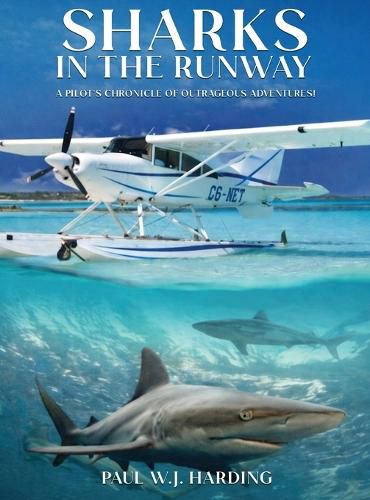 Cover image for Sharks in the Runway