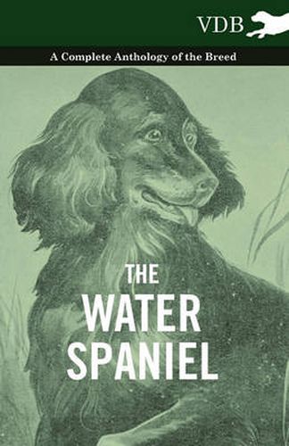 Cover image for The Water Spaniel - A Complete Anthology of the Breed
