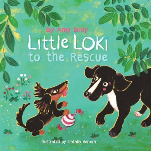 Cover image for Little Loki to the Rescue