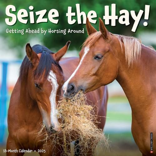 Cover image for Seize the Hay 2026 12 X 12 Wall Calendar