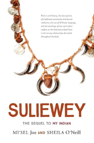 Cover image for Suliewey