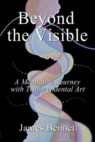 Cover image for Beyond the Visible