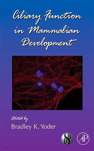 Cover image for Ciliary Function in Mammalian Development