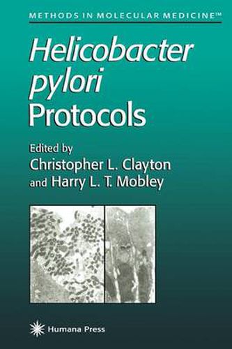 Cover image for Helicobacter pylori Protocols