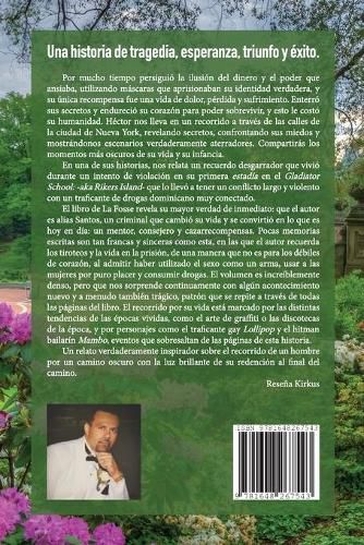 Cover image for Un Camino Sin Lamentos