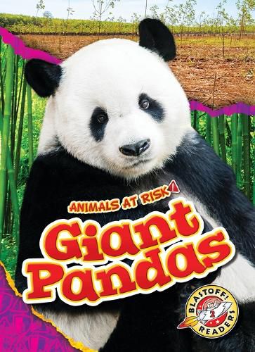 Cover image for Giant Pandas