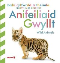Cover image for Babi Cyffwrdd a Theimlo: Anifeiliaid Gwyllt / Baby Touch and Feel: Wild Animals