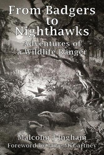 Cover image for From Badgers to Nighthawks: Adventures of a Wildlife Ranger