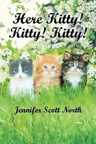 Cover image for Here, Kitty! Kitty! Kitty!