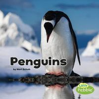 Cover image for Penguins (Black and White Animals)