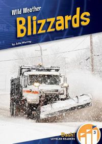 Cover image for Blizzards