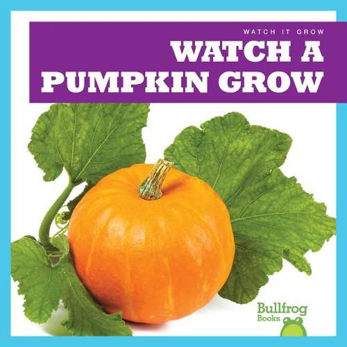 Cover image for Watch a Pumpkin Grow