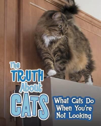 The Truth about Cats: What Cats Do When You're Not Looking