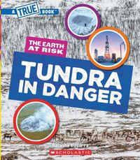 Cover image for Tundra in Danger (a True Book: The Earth at Risk)