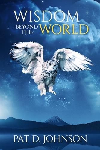 Cover image for Wisdom Beyond This World