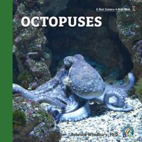 Cover image for Octopuses