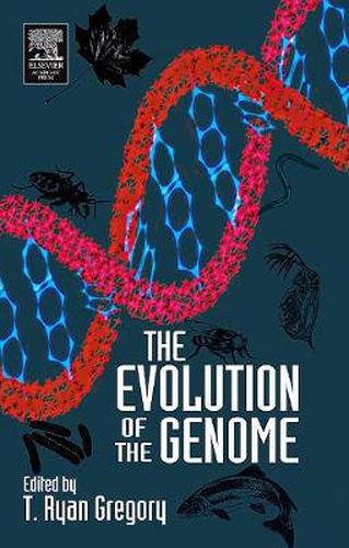 Cover image for The Evolution of the Genome