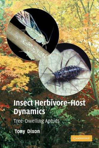 Cover image for Insect Herbivore-Host Dynamics: Tree-Dwelling Aphids