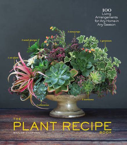 Cover image for The Plant Recipe Book: 100 Living Arrangements for Any Home in Any Season