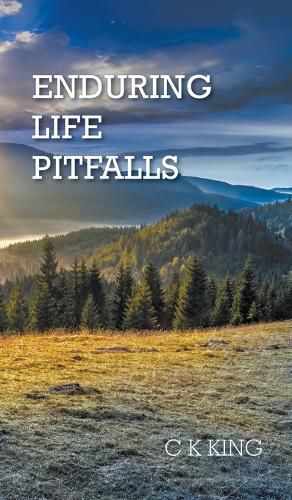 Cover image for Enduring Life Pitfalls