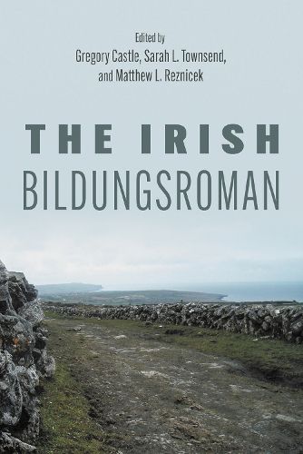 Cover image for The Irish Bildungsroman