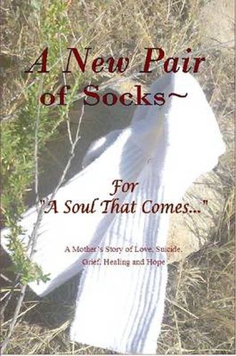 Cover image for A New Pair of Socks~