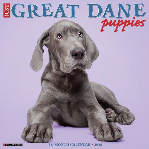 Cover image for Great Dane Puppies 2026 12 X 12 Wall Calendar