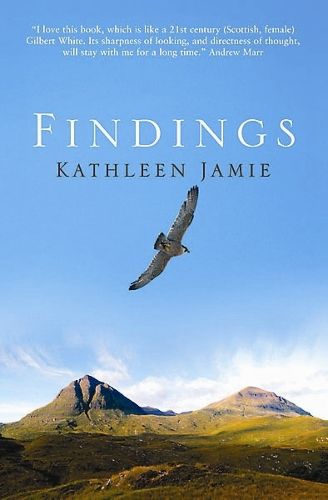 Cover image for Findings