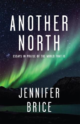 Cover image for Another North