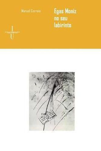 Cover image for Egas Moniz no seu labirinto