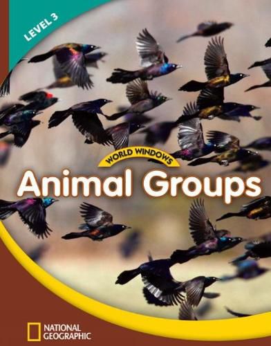 World Windows 3 (Science): Animal Groups: Content Literacy, Nonfiction Reading, Language & Literacy