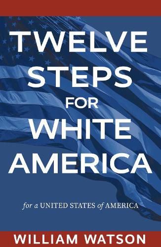 Cover image for Twelve Steps for White America