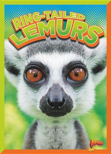 Cover image for Ring-Tailed Lemurs