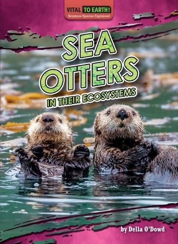 Cover image for Sea Otters in Their Ecosystems