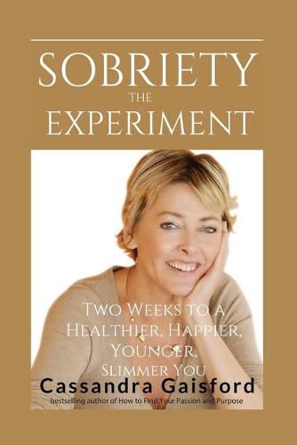 Cover image for The Sobriety Experiment