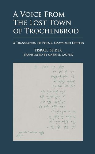 Cover image for A Voice from The Lost Town of Trochenbrod