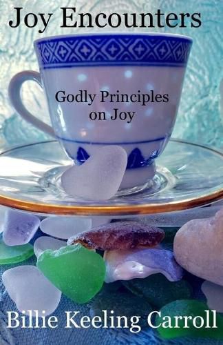 Cover image for Joy Encounters: Godly Principles on Joy