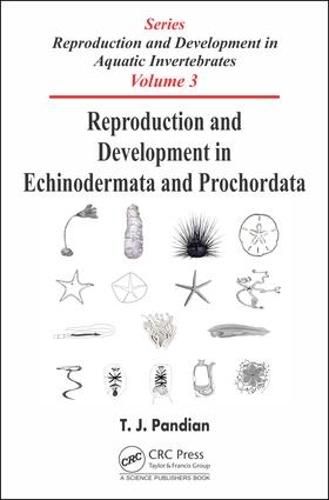 Cover image for Reproduction and Development in Echinodermata and Prochordata