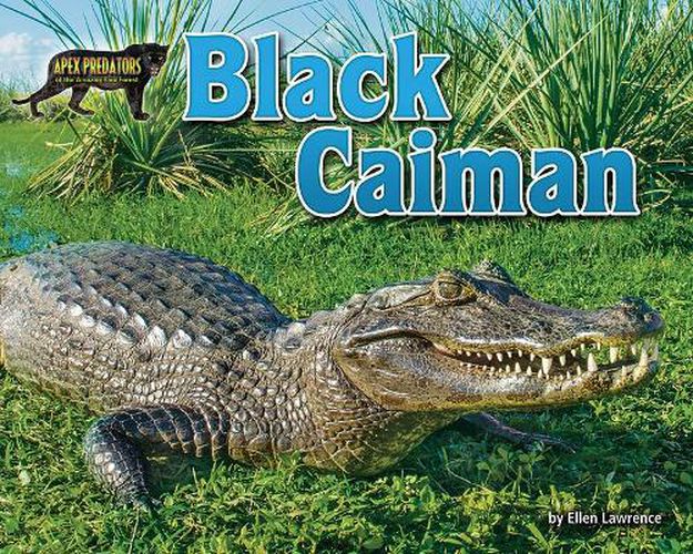 Cover image for Black Caiman