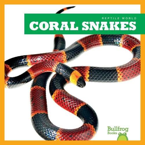 Cover image for Coral Snakes